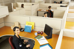 Workers in cubicles