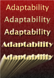 Adaptability (word repeated with different font effects)