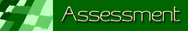Assessment and Policies
