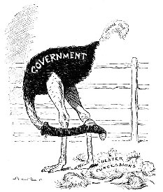 Government as ostrich, hiding head