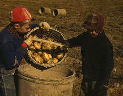 Two boys with a bushel of potatoes