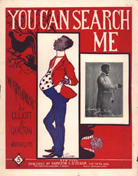 You Can Search Me (music cover)