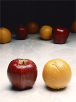 apples and oranges